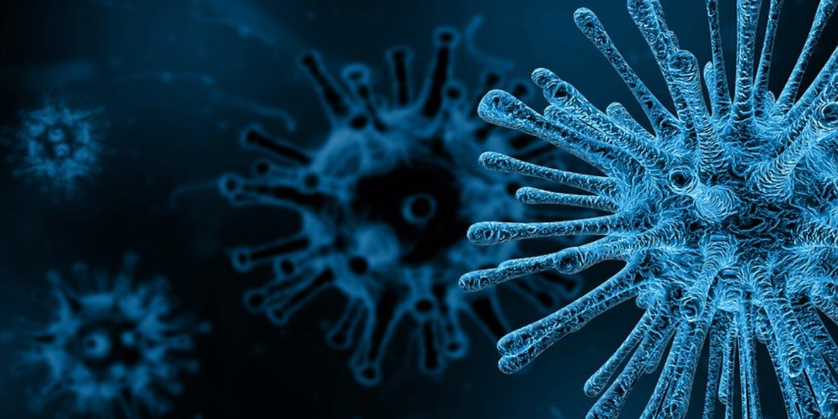 pixabay-virus-4030721_1280_a